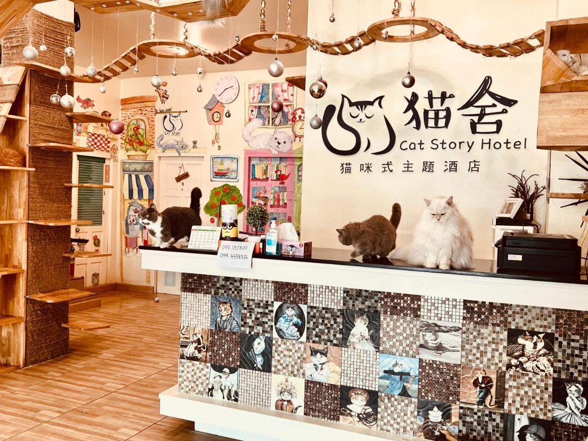 Cat Story