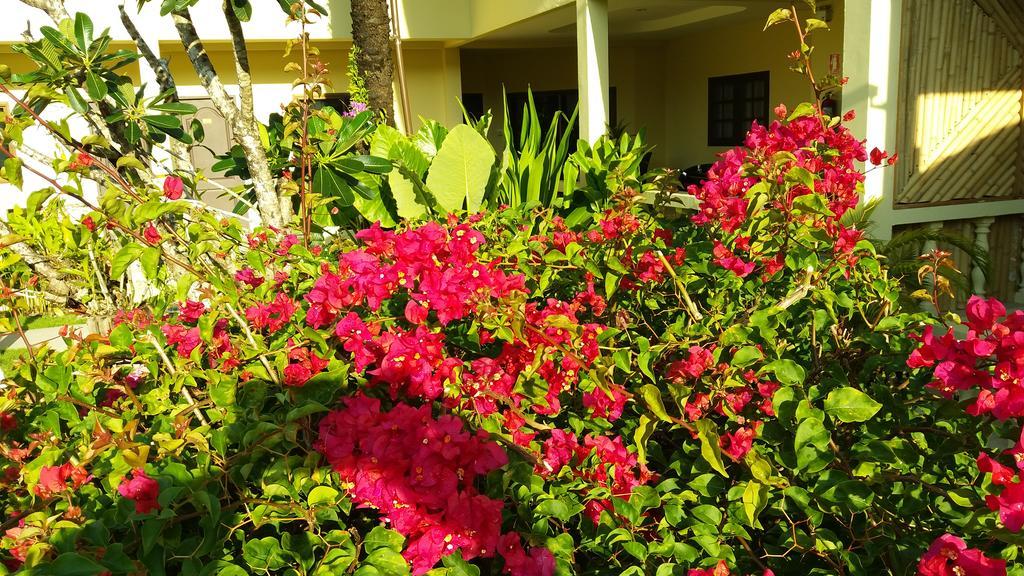 Hotel Austrian Garden & Restaurant 3*