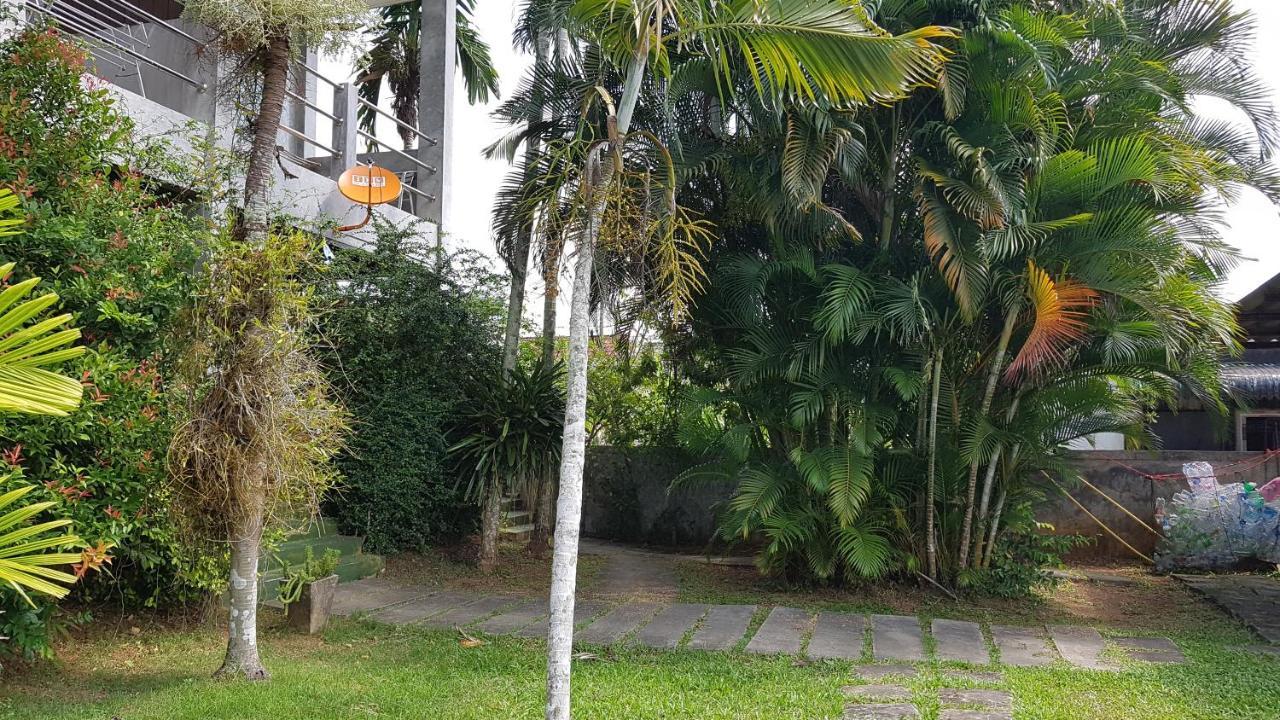 Guest house Piti Place